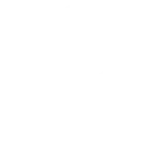 Genesis Construction and Development