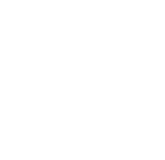 main-logo